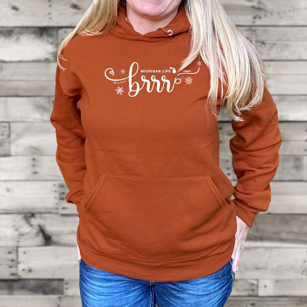 "Brrr... It's Cold In Michigan" Relaxed Fit Classic Unisex Hoodie