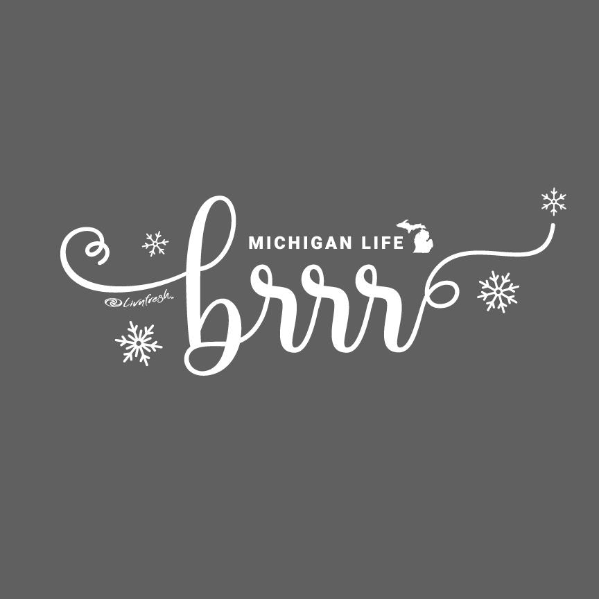"Brrr... It's Cold In Michigan" Relaxed Fit Classic Unisex Hoodie